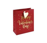 Eurowrap Happy Valentines Day Paper Gift Bag Love Special with Heart Gift Tag Medium