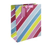 Eurowrap Holo Stripes Gift Bag (Pack Of 6) Multicoloured (L)