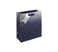 Eurowrap Navy Ombre Birthday Occasions Gift Bag with Silver Tag (Medium Bag Blue)