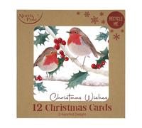 Eurowrap North Pole Christmas Cards - 12 Pack with Robins & Holly Designs - 2 Assorted Festive Greeting Card Styles with Envelopes - Eco-Friendly Recyclable Christmas Wishes Cards