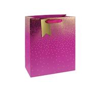 Eurowrap Ombre Gift Bag 210gsm Large Pink Pack of 6 29835-2CC