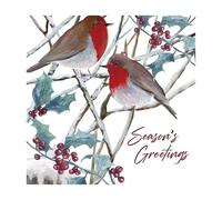Eurowrap Pack of 12 Assorted Christmas Cards Xmas Robins - 2 Designs Seasons Greetings and Merry Christmas - Eco Friendly Packaging 100% Recyclable