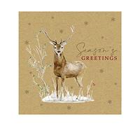 Eurowrap Pack of 12 Assorted Christmas Cards Xmas Stag, Made from 100% Recycled Paper, 2 Designs Merry Christmas and Seasonal Greetings