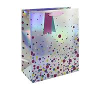 Eurowrap Silver Holographic Dots Gift Bag With Gift Tag Birthday Occassions Large
