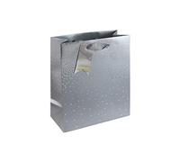 Eurowrap Silver Ombre Birthday Occasions Gift Bag with Silver Tag Medium Size