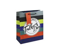 Eurowrap Stripes Happy Fathers Day Paper Gift Bag with Gift Tag Medium