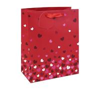 Eurowrap Valentine’s Day Large Gift Bag - Red Falling Hearts Present Bag with Heart Tag & Ribbon Handle - Premium Romantic Gift Packaging for Loved Ones & Special Occasions