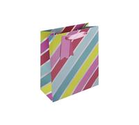 Eurowrap Vibrant Metallic Multicoloured Striped Gift Bag With Gift Tag - Gift Bag for Him, Her, Birthdays, Kids, Wedding, Celebration - Vibrant Bright Birthday Gift Wrap Occasion Present - Medium Size