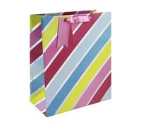 Eurowrap Vibrant Metallic Multicoloured Striped Gift Bag With Gift Tag - Gift Bag for Him, Her, Birthdays, Kids, Wedding, Celebration - Vibrant Bright Birthday Gift Wrap Occasion Present - Large Size