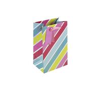 Eurowrap Vibrant Metallic Multicoloured Striped Gift Bag With Gift Tag - Gift Bag for Him, Her, Birthdays, Kids, Wedding, Celebration - Vibrant Bright Birthday Gift Wrap Occasion Present - Small Size