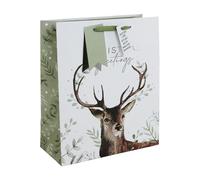 Eurowrap White Kraft Paper Woodland Stag Christmas Greetings Gift Bag Eco Friendly 100% Recyclable with Green Gift Tag Xmas Gift Wrap Reindeer Large