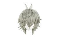 EVA Nagisa Kaworu Cosplay Wigs Short Mixed Grey Heat Resistant Synthetic Hair Wig + Wig Cap