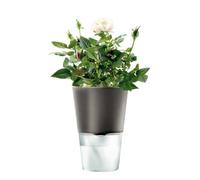 Eva Solo 11 cm Herb Pot, Dark Grey