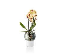Eva Solo Orchid Pot Flowerpot Self-Watering Deco Glass/Nylon Frost Ø 15 cm