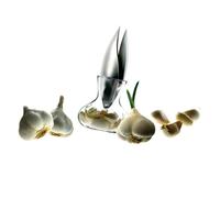 Eva Solo Stainless Steel Easy Clean Garlic Press & Jar