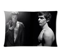 Evan Peters Pillowcase Pillow Case Cover Standard 20x30 (Two Sides)
