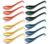 Evanda Soup Spoon, Made of Food Grade PP, BPA Free,ECO Friendly Dinner Spoon,Easy Clean,Dishwasher Safe Set of 12