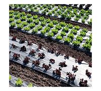 EVANEM 0.95×50m Embossed Plastic Film With Planting Holes, For Gardening Farming Landscape Sheeting Moisture Temperature Maintaining Plants Care Cover