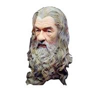 EVANEM Lord of The Rings Sculpture, Gandalf Statue Hobbit Master Bust Avatar Ornaments Desktop Decorations Resin Crafts 30 cm(B)