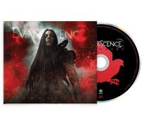 Evanescence - Sanctuary