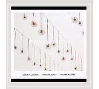 Evanescences (feat. Tyshawn Sorey and Thomas Morgan) by Casimir Liberski Trio (2010-11-13)