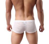 Evankin Men Breathable Underwear See Through Sexy Boxer Briefs Mesh Transparent Pants Male Soft Bikini Lace Underpants, #1-white, L