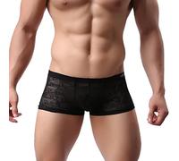 Evankin Men Breathable Underwear See Through Sexy Boxer Briefs Mesh Transparent Pants Male Soft Bikini Lace Underpants, Black, Small