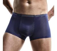 Evankin Men's Boxer Brief Underwear Ice Silk Breathable Striped Underpants Sexy Double-layer U Convex Pouch Boxer Shorts, Black-y, S