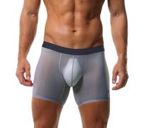 Evankin Men's Boxer Brief Underwear Ice Silk Mesh See Through Underpants Sports Extended Anti Crotch Shorts Running, Grey Blue, M