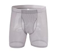 Evankin Men's Underwear Sexy Mesh Breathable Boxer Briefs Low Rise Cool Boxers Pack Set, Style 14 Grey, S