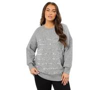 EVANS Curve Sequin Embellished Stripe Jumper - Women's - Plus Size Curve Grey