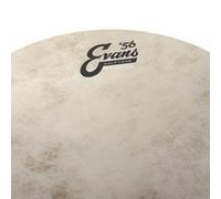 Evans Drum Heads - Calftone Tom Drumhead, 10 Inch