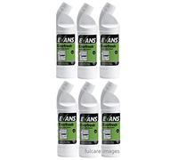 Evans Everfresh Apple Toilet and Washroom Cleaner Urinal Cleaner 6x 1ltr