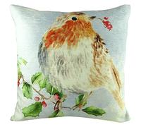 Evans Lichfield Christmas Robin Polyester Filled Cushion, Multi, 43 x 43cm