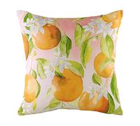 Evans Lichfield Fruit Oranges Cushion Cover, Multi, 43 x 43cm