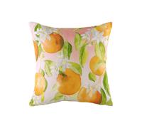 Evans Lichfield Fruit Oranges Hand Painted Watercolour Printed Cushion in Orange Evans Lichfield Orange