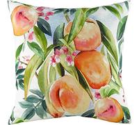 Evans Lichfield Fruit Peaches Cushion Cover, Multi, 43 x 43cm