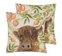 Evans Lichfield Grove Highland Cow Polyester Filled Cushion - Twin Pack,43 x 43cm