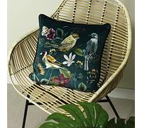 Evans Lichfield Midnight Garden Bird Velvet Piped Feather Rich Filled Cushion