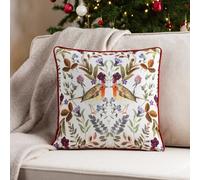 Evans Lichfield Mirrored Robin Feather Filled Cushion