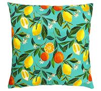 Evans Lichfield Orange Blossom Outdoor Polyester Filled Cushion, Polyester, Multi,43 x 43cm