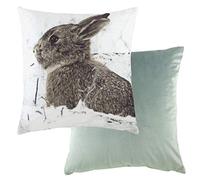 Evans Lichfield Photo Hare Feather Filled Cushion, Multi, 43 x 43cm