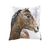 Evans Lichfield Photo Horse Cushion Cover, Multi, 43 x 43cm
