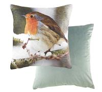 Evans Lichfield Photo Robin Feather Filled Cushion, Multi, 43 x 43cm