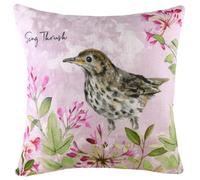 Evans Lichfield Song Thrush Printed Cushion Cover