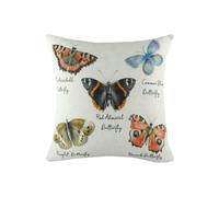 Evans Lichfield Species Butterfly Polyester Filled Cushion, Multi, 43 x 43 cm