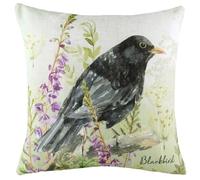 Evans Lichfield Spring Birds Black Bird Watercolour Feather Rich Filled Cushion