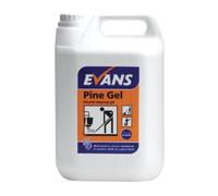 Evans Vanodine Pine Floor Gel 5ltr