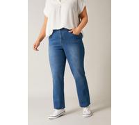 Evans Women's Straight Leg Jeans in Blue | Size: 32R Evans Blue 32R