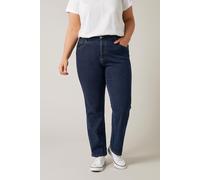 Evans Women's Straight Leg Jeans in Indigo | Size: 32R Evans Indigo 32R
